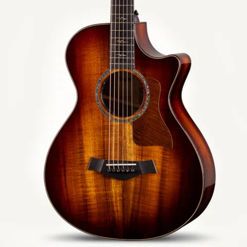 次世代Taylor Guitars
